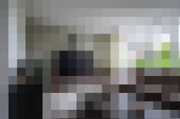 Goudreinette 6 Duiven thumbnail 12