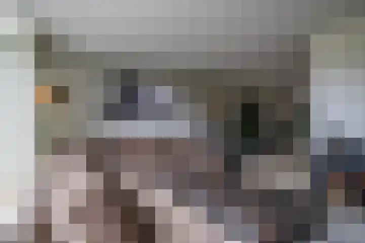 Goudreinette 6 Duiven thumbnail 14