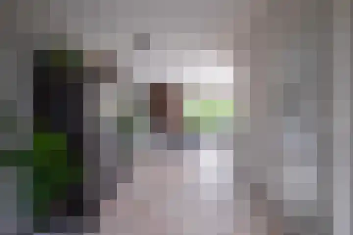 Goudreinette 6 Duiven thumbnail 15