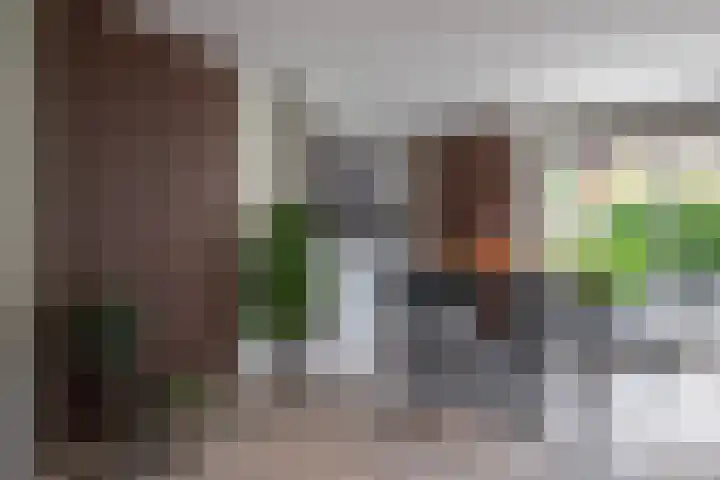 Goudreinette 6 Duiven thumbnail 17