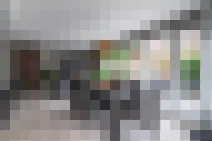 Goudreinette 6 Duiven thumbnail 19