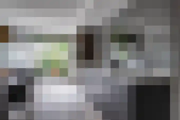 Goudreinette 6 Duiven thumbnail 21