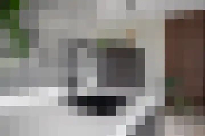 Goudreinette 6 Duiven thumbnail 25