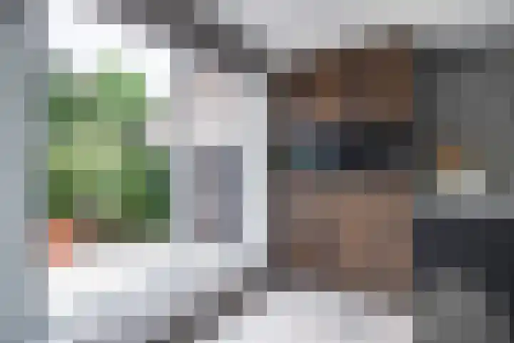 Goudreinette 6 Duiven thumbnail 26