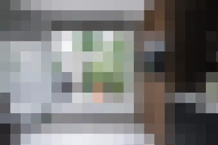 Goudreinette 6 Duiven thumbnail 27