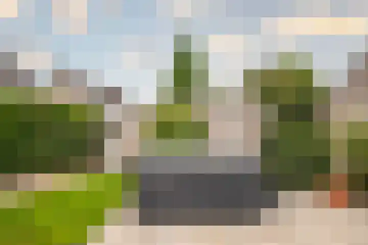 Goudreinette 6 Duiven thumbnail 30