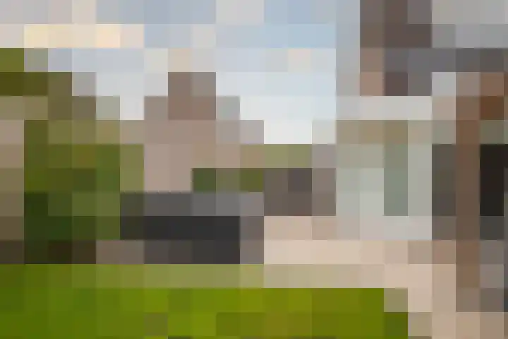 Goudreinette 6 Duiven thumbnail 32