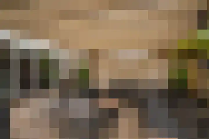 Goudreinette 6 Duiven thumbnail 33