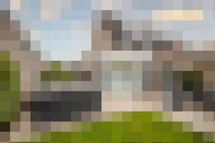 Goudreinette 6 Duiven thumbnail 37