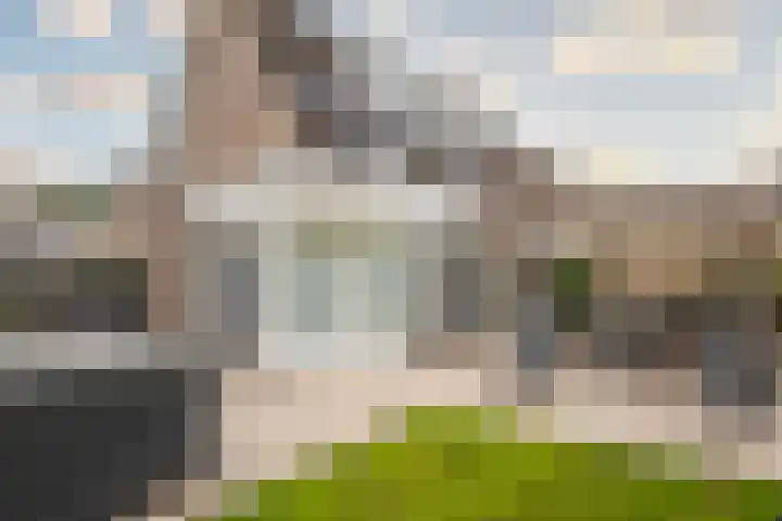 Goudreinette 6 Duiven thumbnail 38