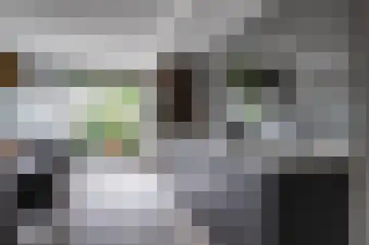 Goudreinette 6 Duiven thumbnail 4