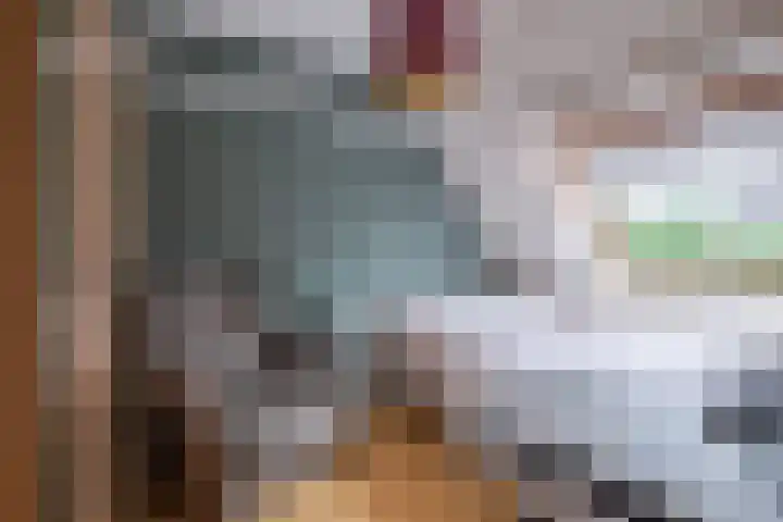 Goudreinette 6 Duiven thumbnail 40