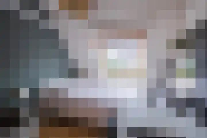 Goudreinette 6 Duiven thumbnail 41