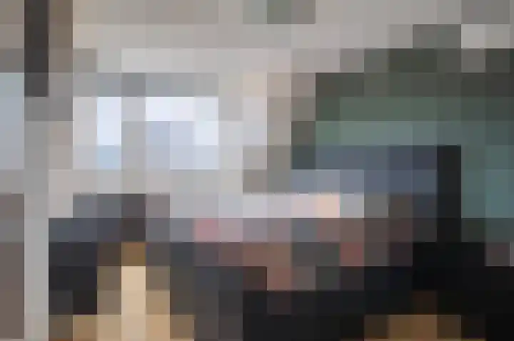 Goudreinette 6 Duiven thumbnail 42