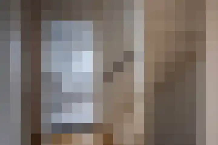 Goudreinette 6 Duiven thumbnail 44