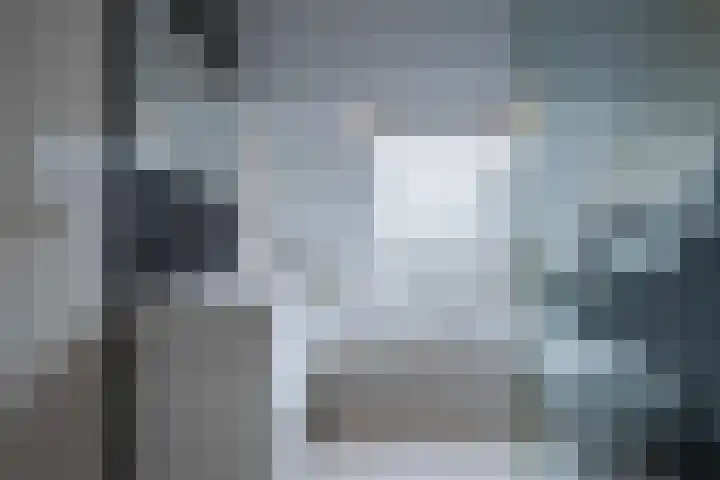 Goudreinette 6 Duiven thumbnail 45