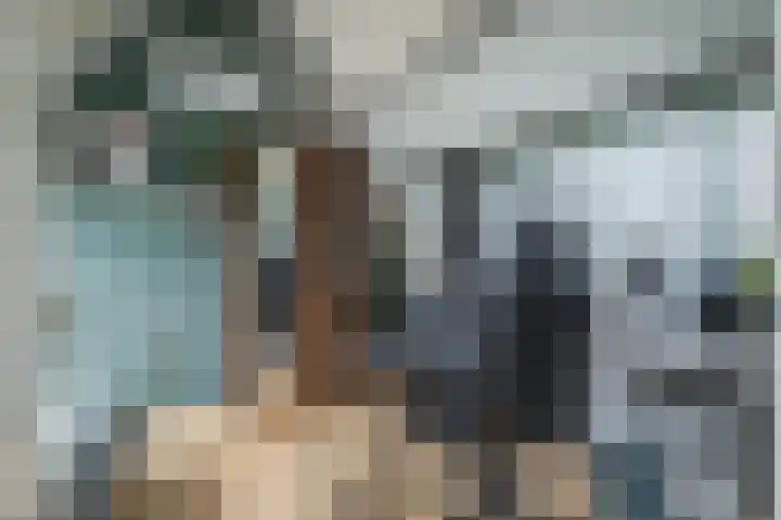 Goudreinette 6 Duiven thumbnail 47