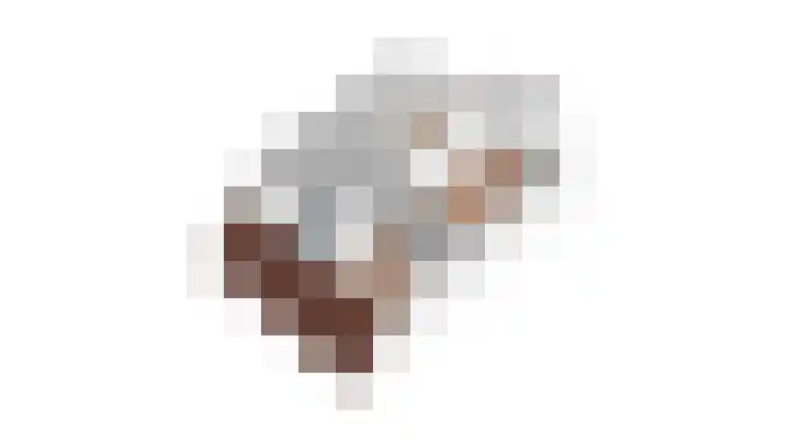 Goudreinette 6 Duiven thumbnail 54