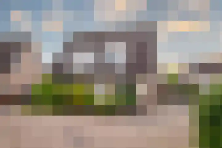 Goudreinette 6 Duiven thumbnail 6