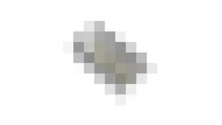Goudreinette 6 Duiven thumbnail 59