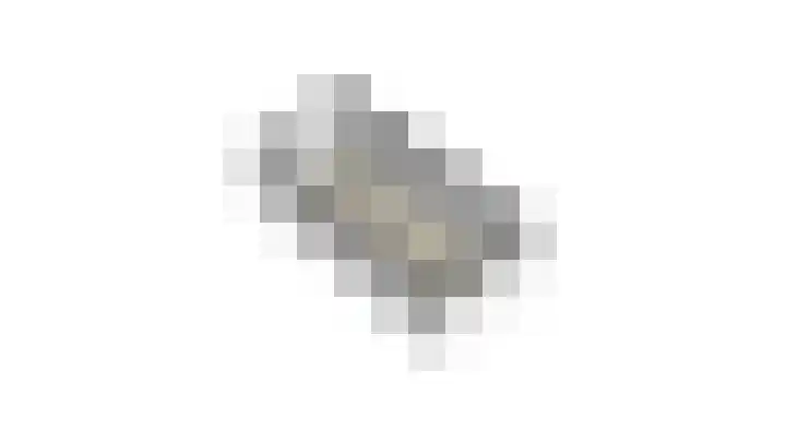 Goudreinette 6 Duiven thumbnail 60