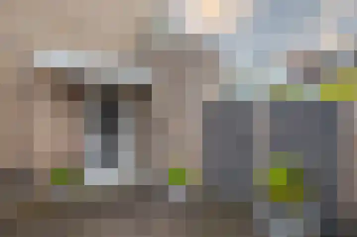 Goudreinette 6 Duiven thumbnail 8