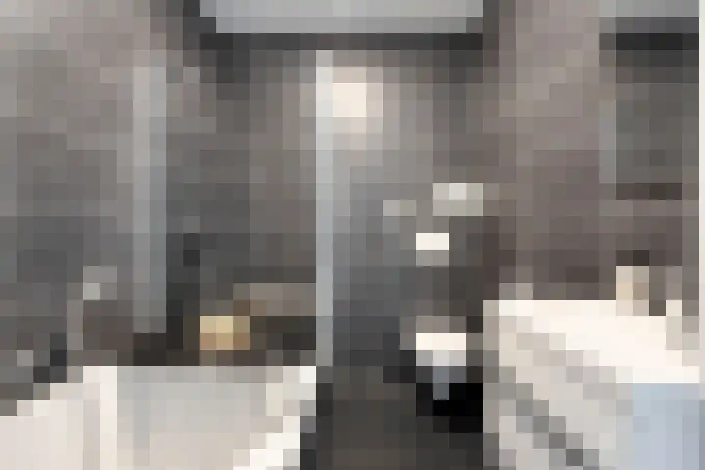 Goudreinette 6 Lith thumbnail 16