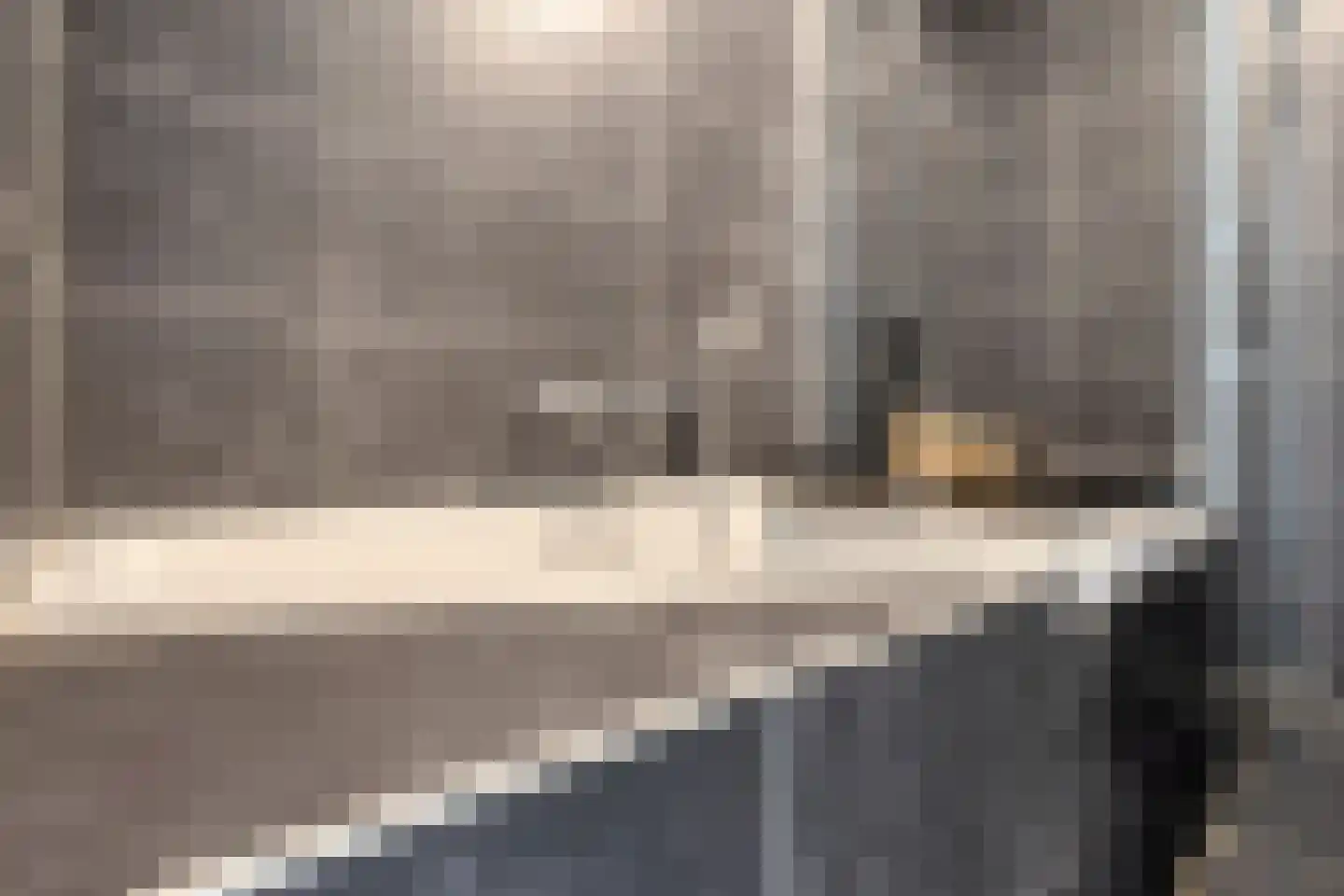 Goudreinette 6 Lith thumbnail 17