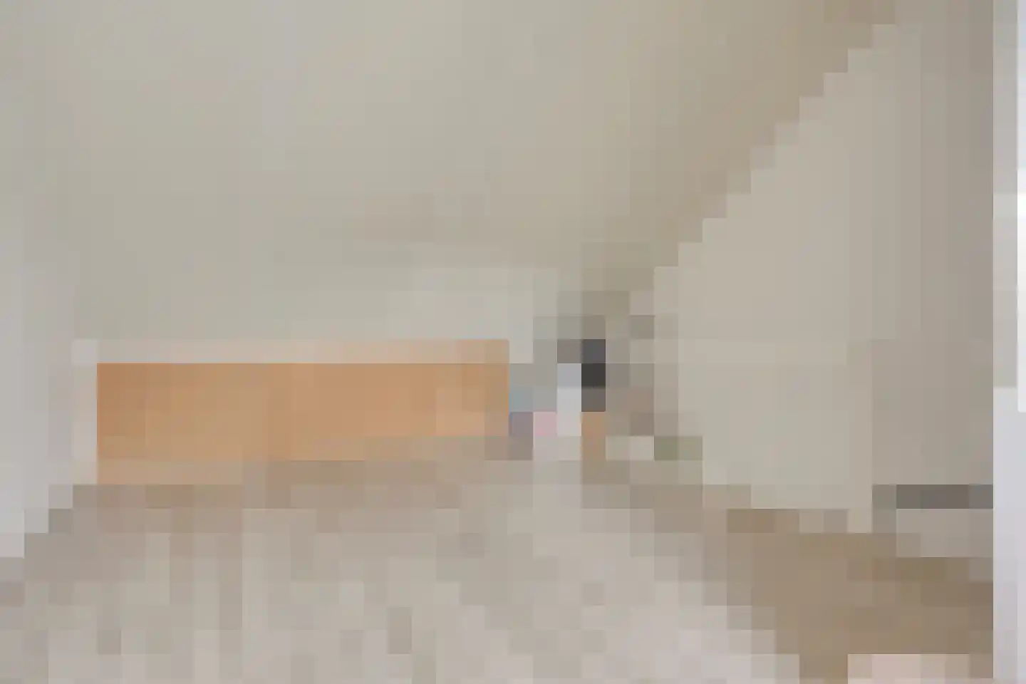Goudreinette 6 Lith thumbnail 22