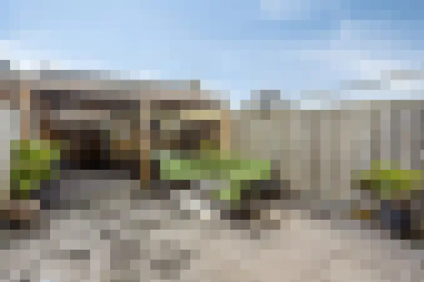 Goudreinette 6 Lith thumbnail 23