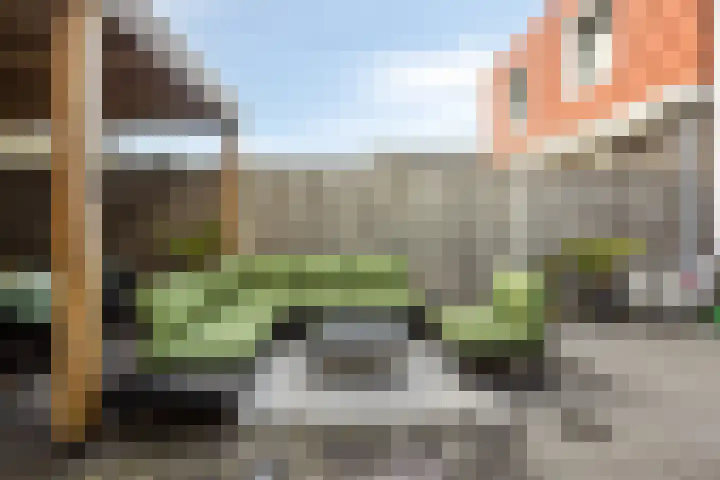 Goudreinette 6 Lith thumbnail 24