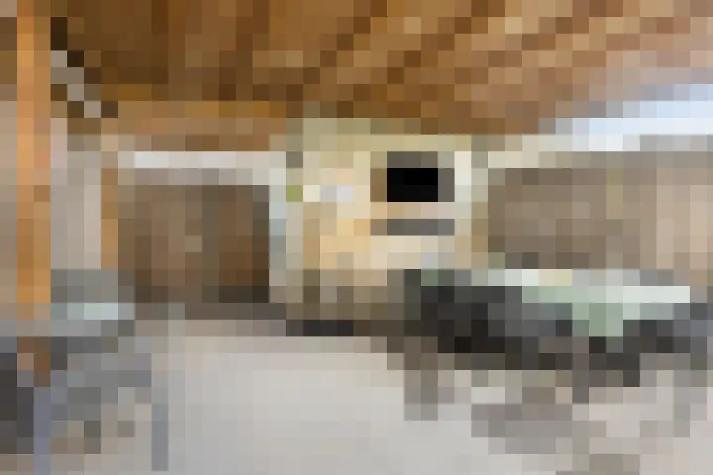 Goudreinette 6 Lith thumbnail 25