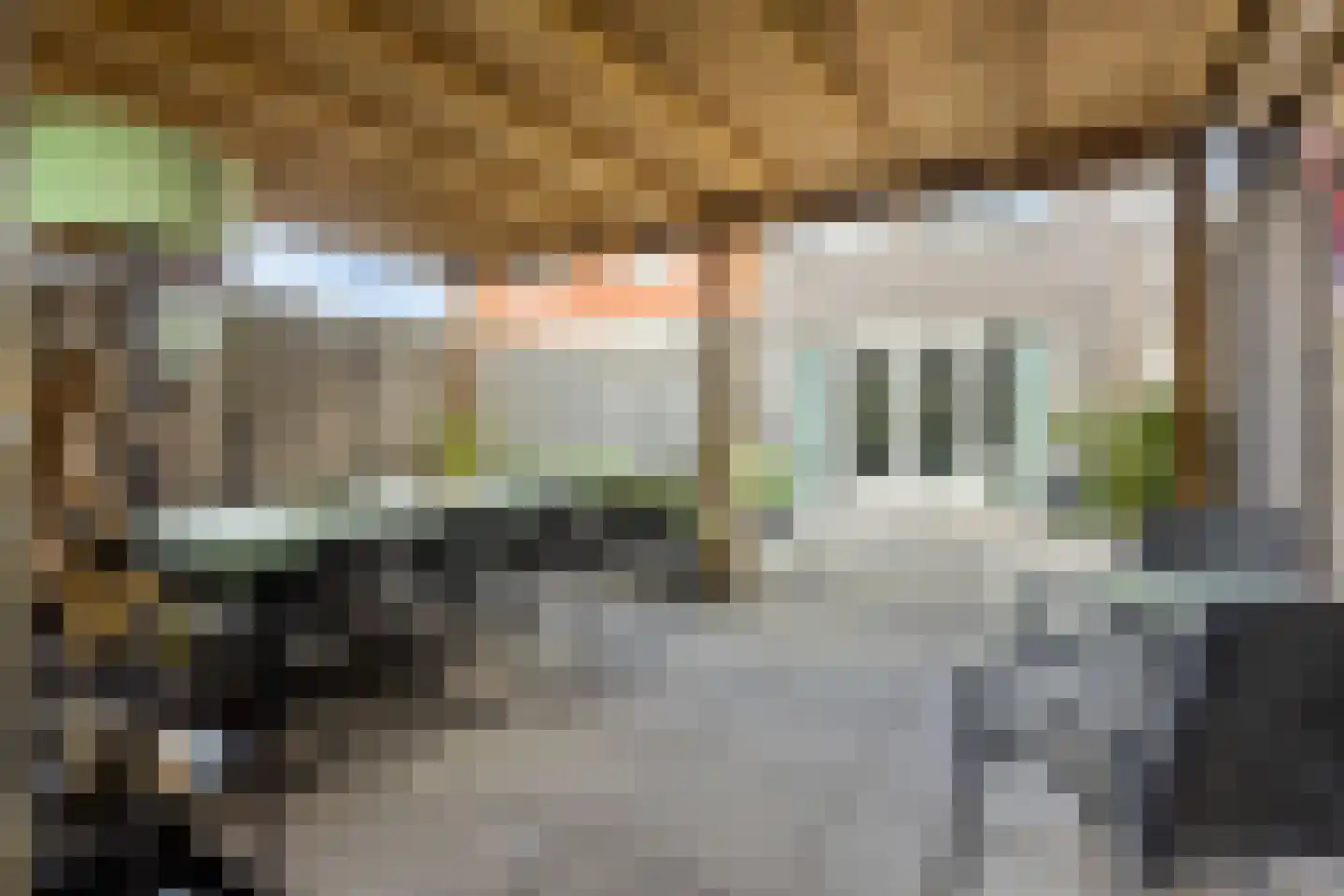 Goudreinette 6 Lith thumbnail 26