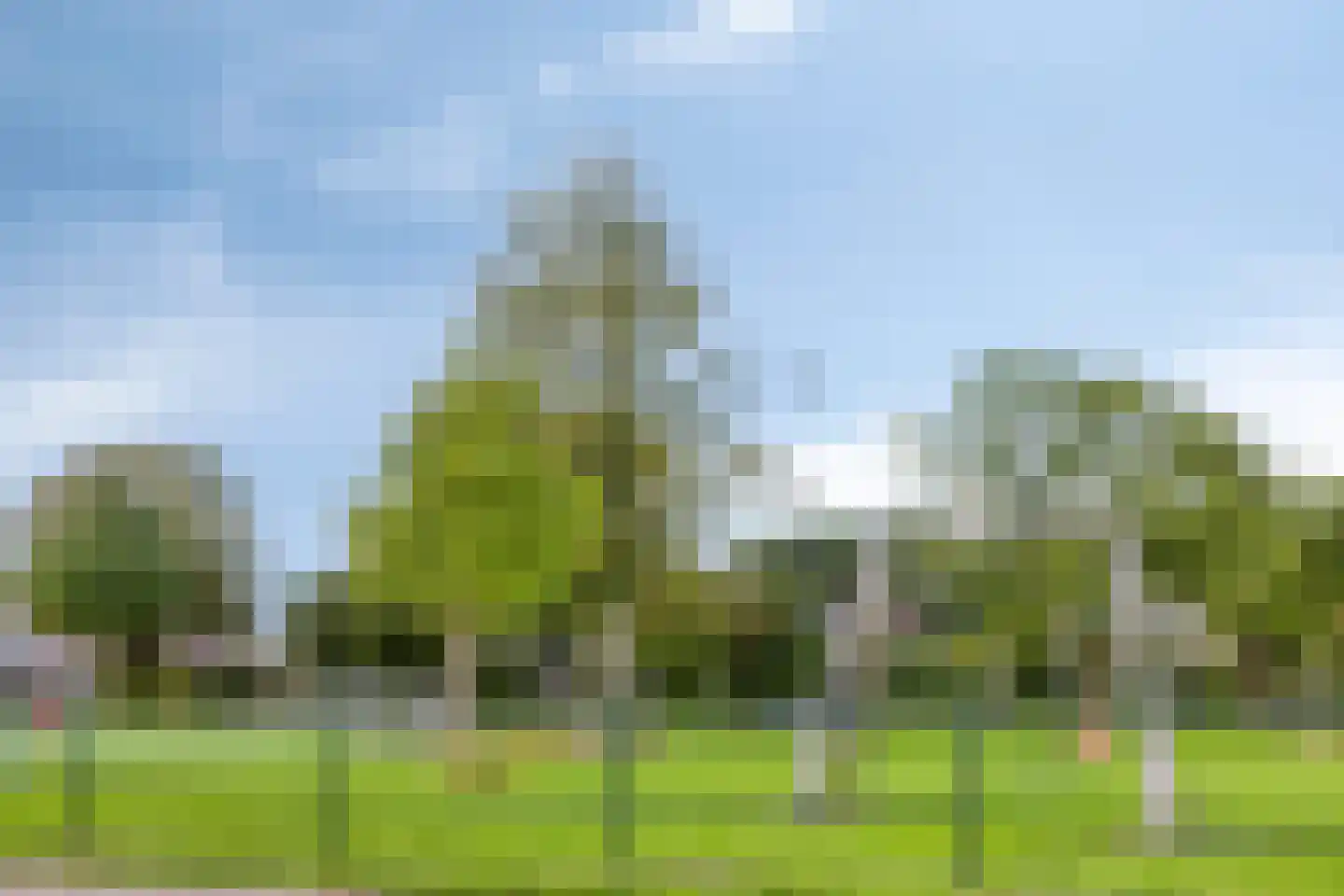 Goudreinette 6 Lith thumbnail 30