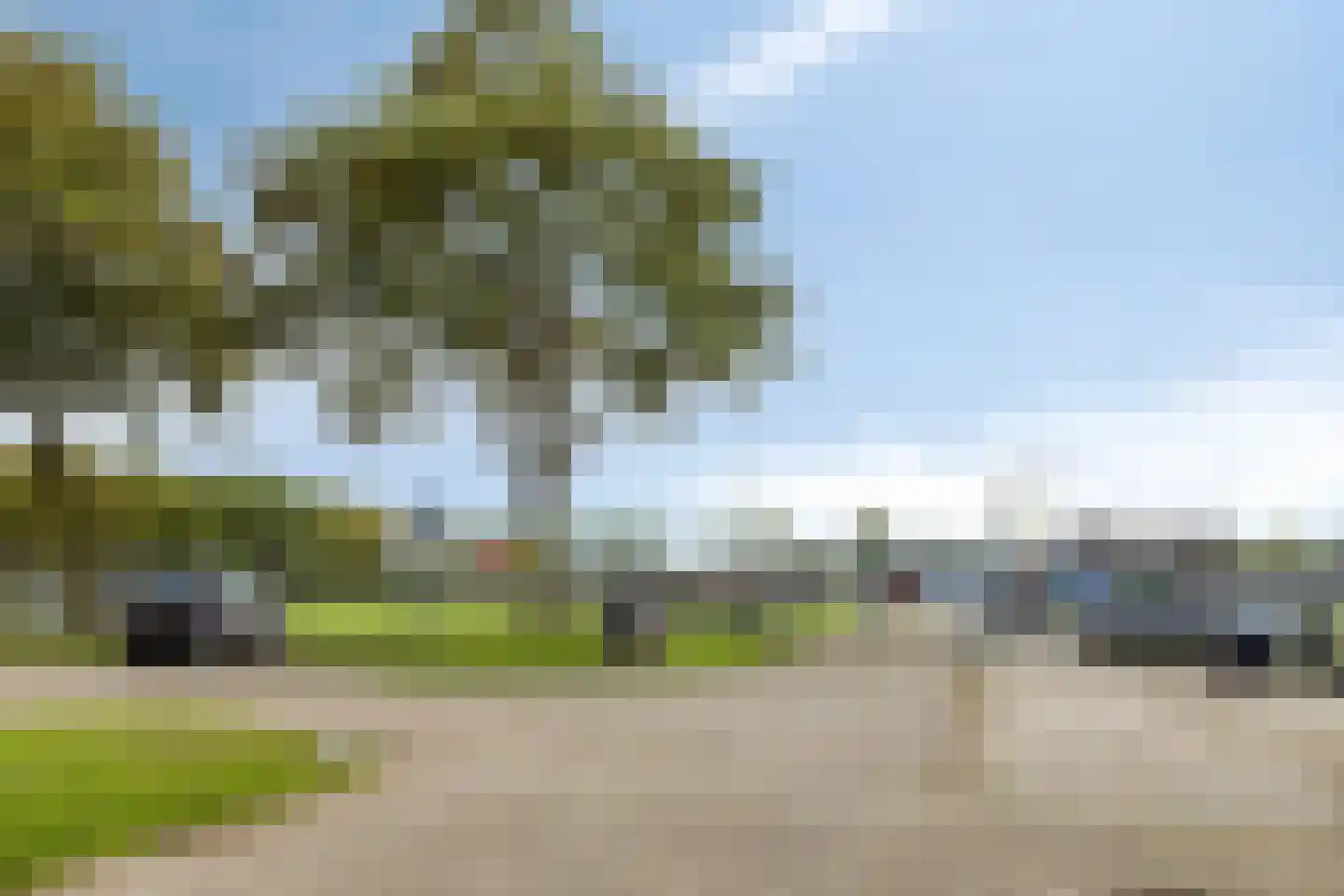 Goudreinette 6 Lith thumbnail 31