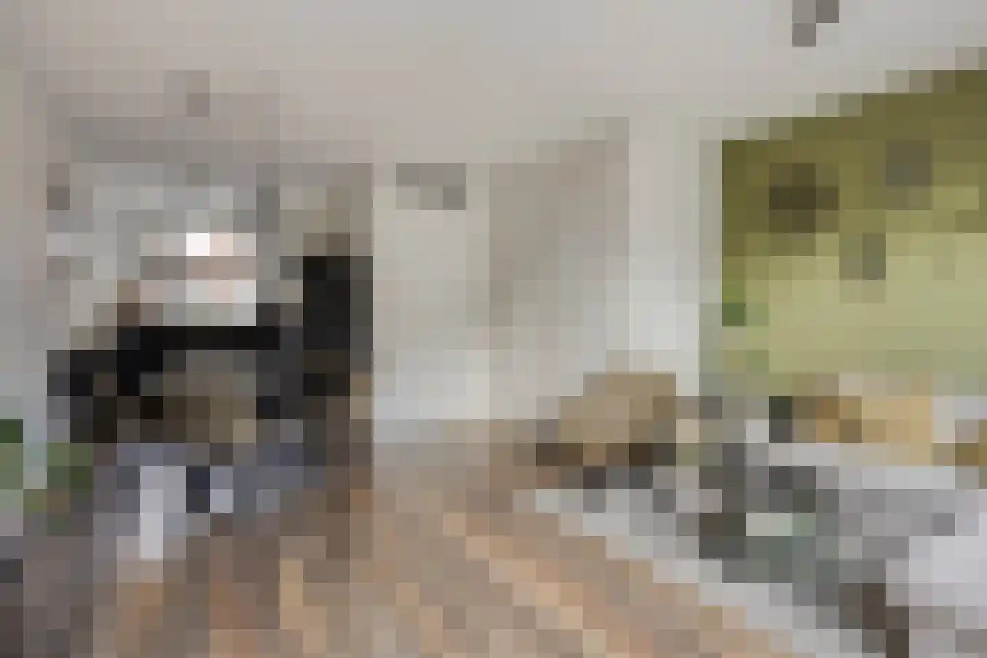 Goudreinette 6 Lith thumbnail 4