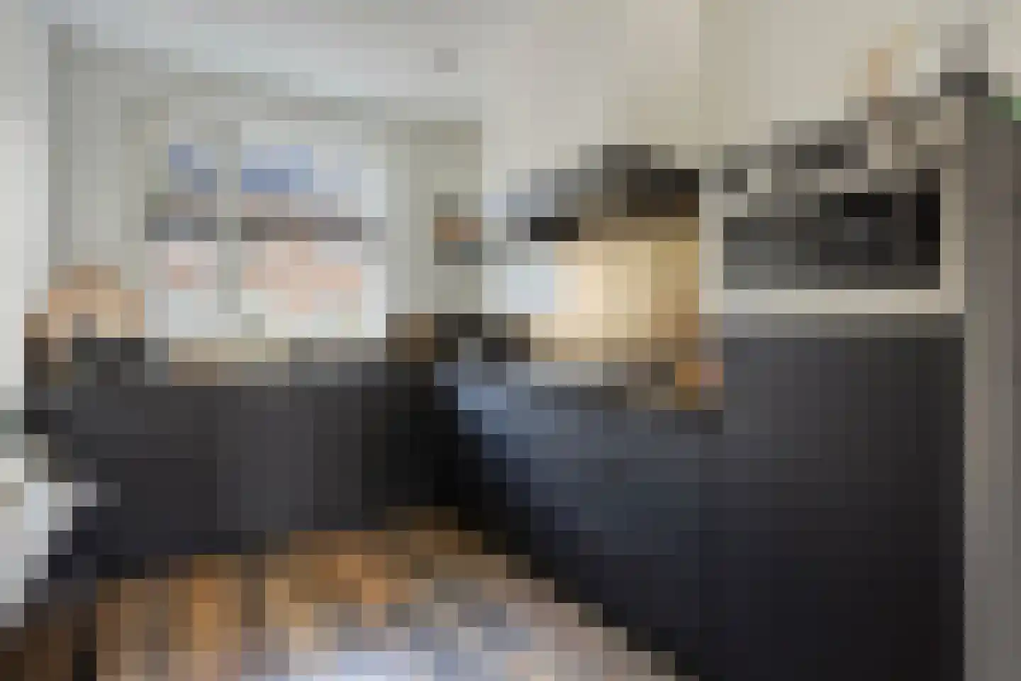 Goudreinette 6 Lith thumbnail 6