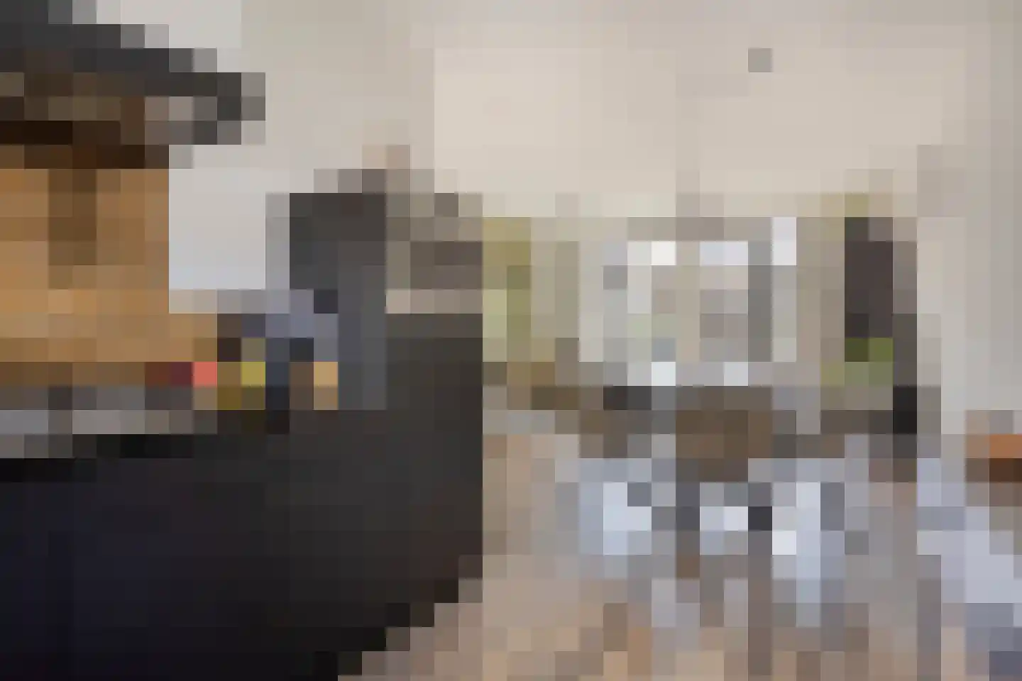 Goudreinette 6 Lith thumbnail 7