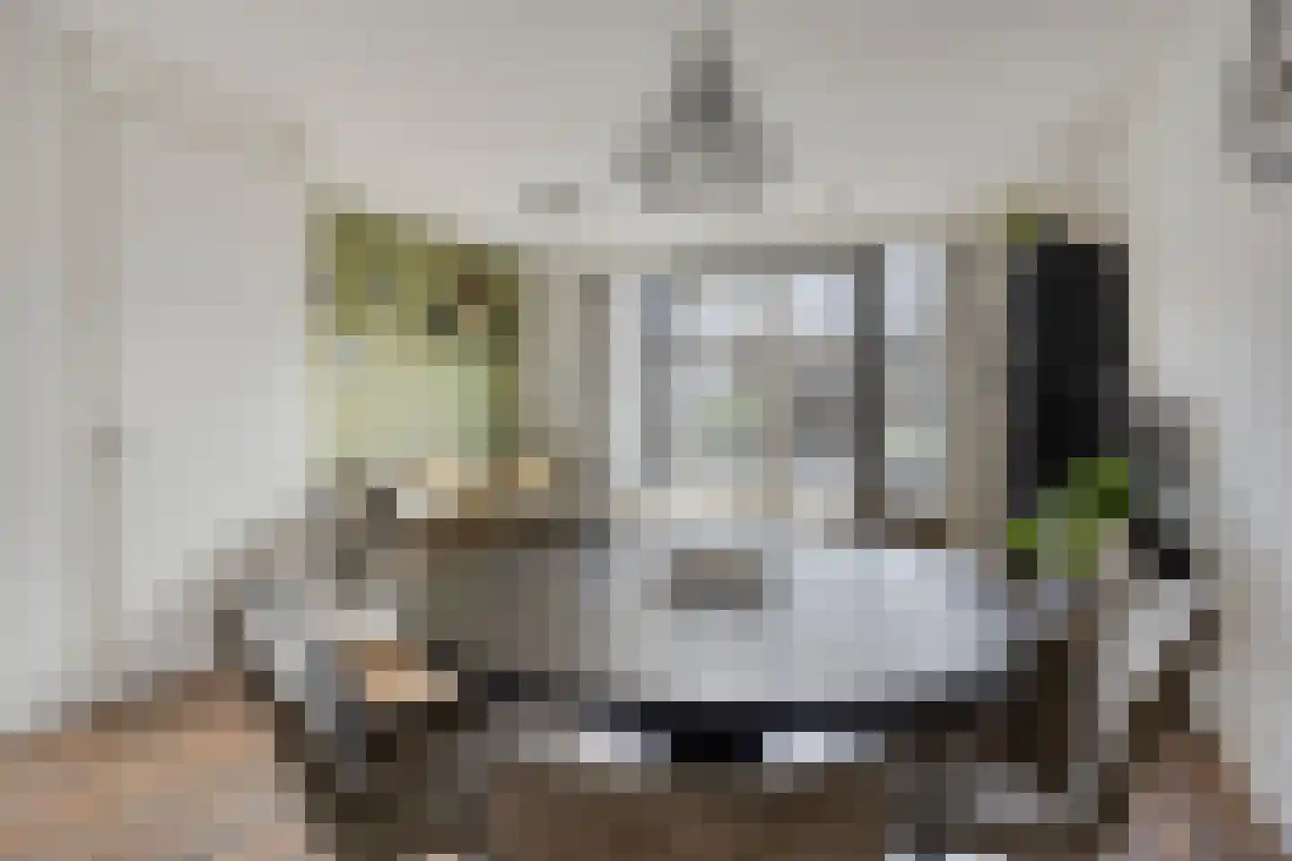 Goudreinette 6 Lith thumbnail 9