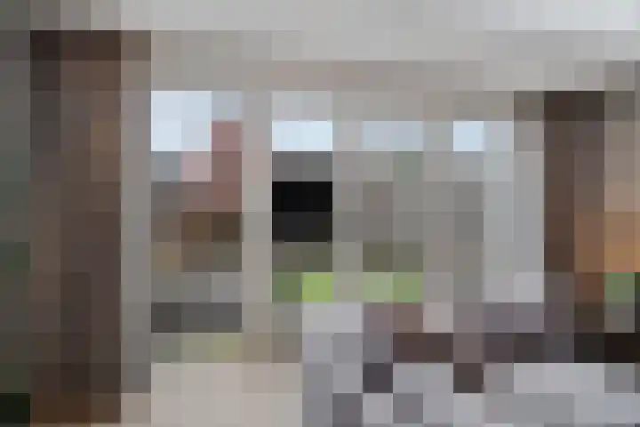Goudreinette 9 Lith thumbnail 10