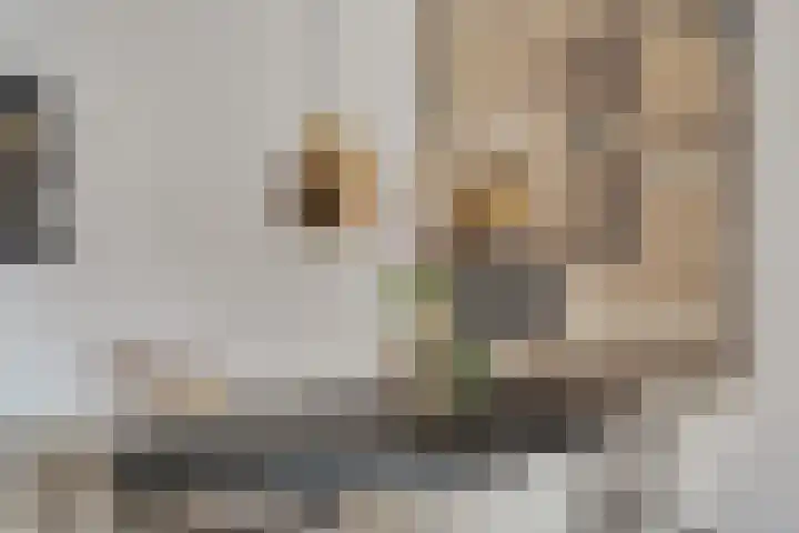 Goudreinette 9 Lith thumbnail 12