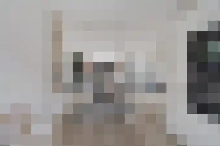 Goudreinette 9 Lith thumbnail 13
