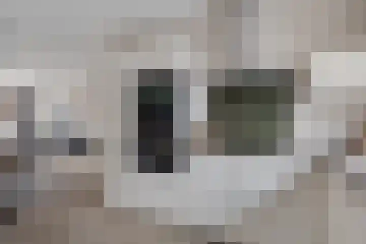 Goudreinette 9 Lith thumbnail 16