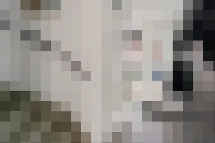 Goudreinette 9 Lith thumbnail 17