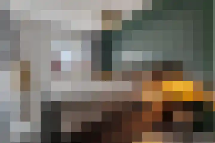 Goudreinette 9 Lith thumbnail 19