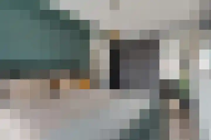 Goudreinette 9 Lith thumbnail 20