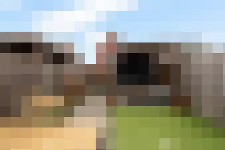 Goudreinette 9 Lith thumbnail 33