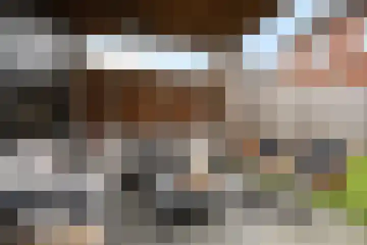 Goudreinette 9 Lith thumbnail 37