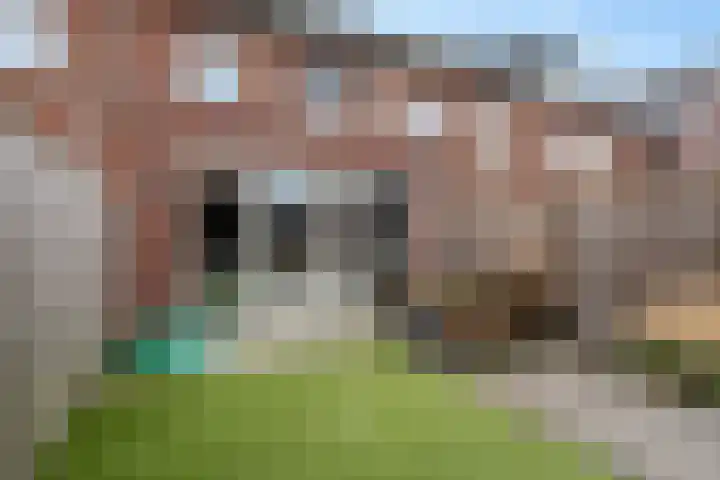 Goudreinette 9 Lith thumbnail 38