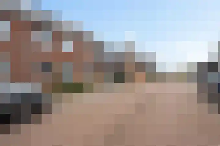 Goudreinette 9 Lith thumbnail 43